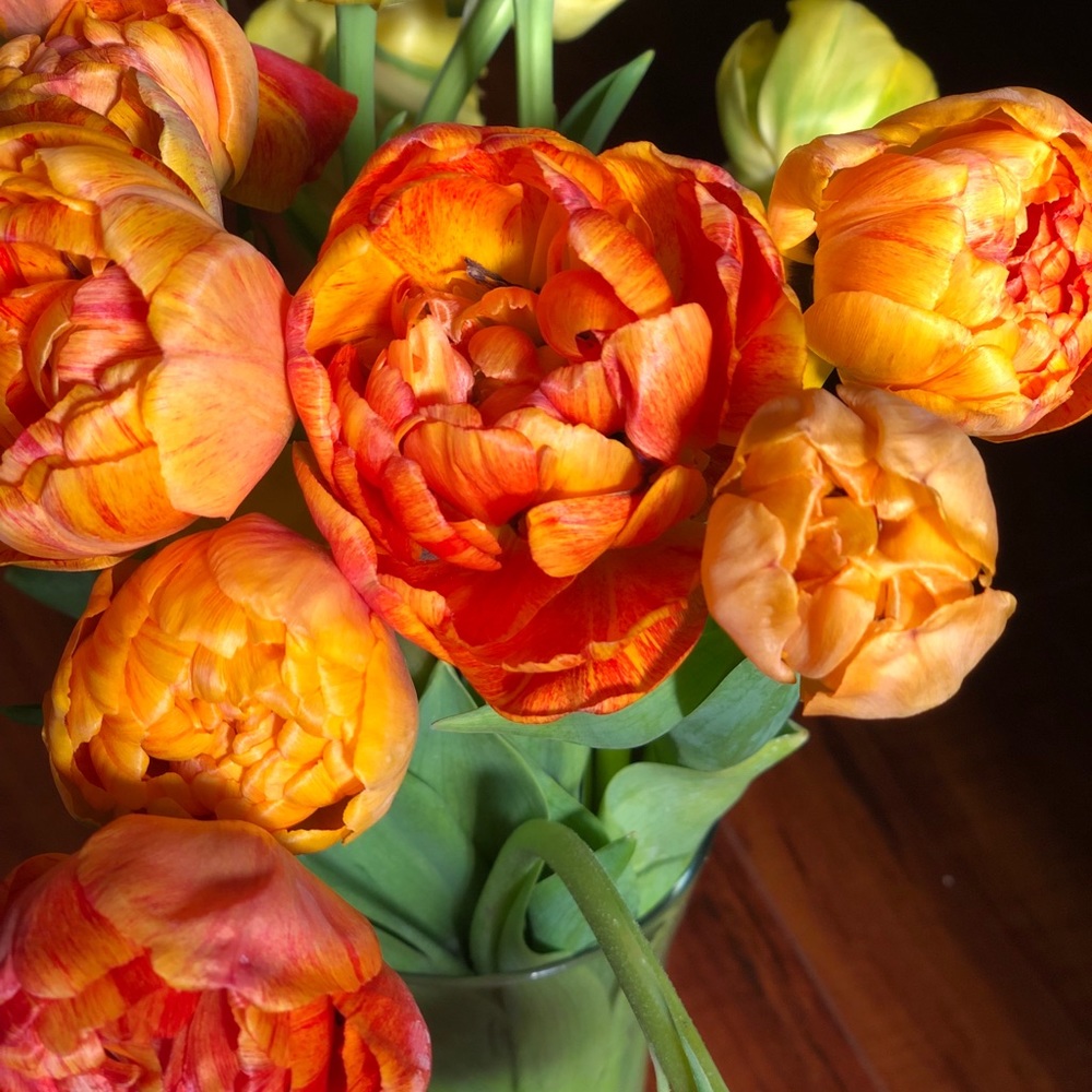 Meet your Posher, Karaine